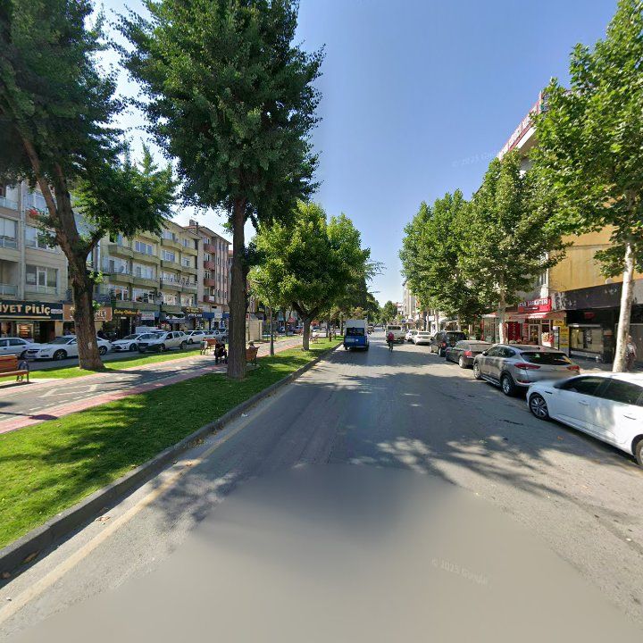 Fotoğraf 9