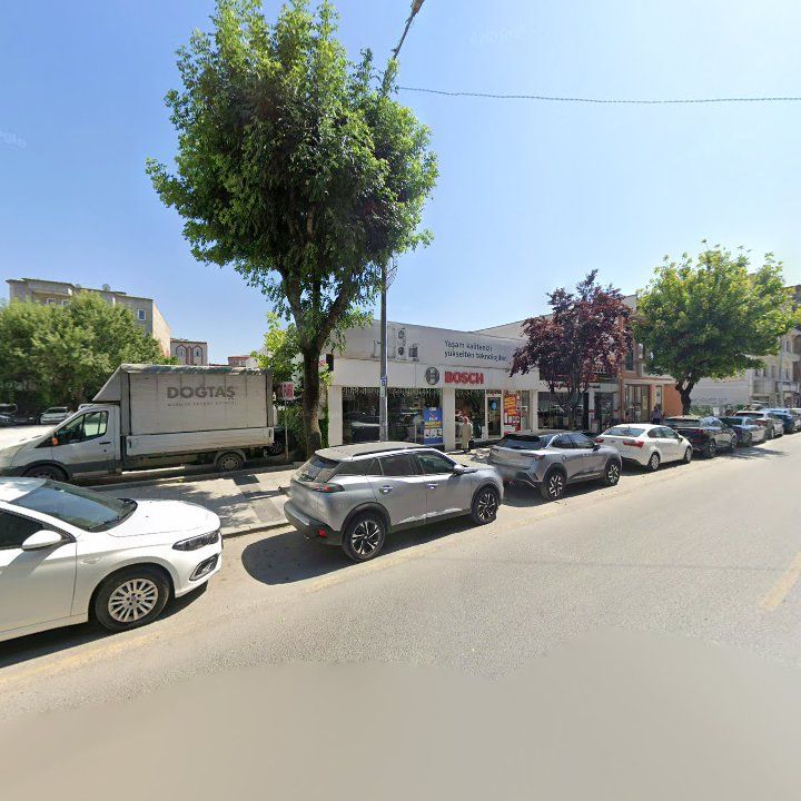 Fotoğraf 8
