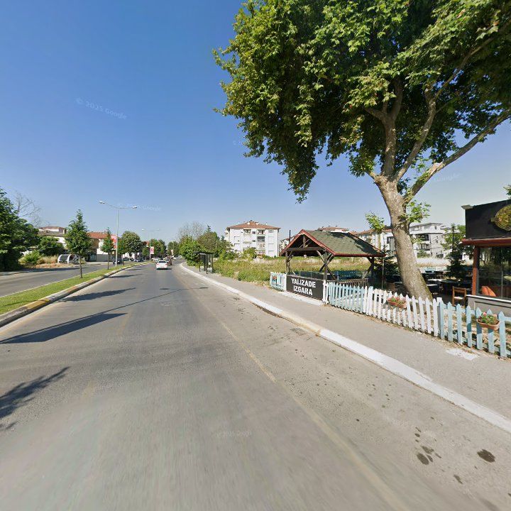Fotoğraf 9