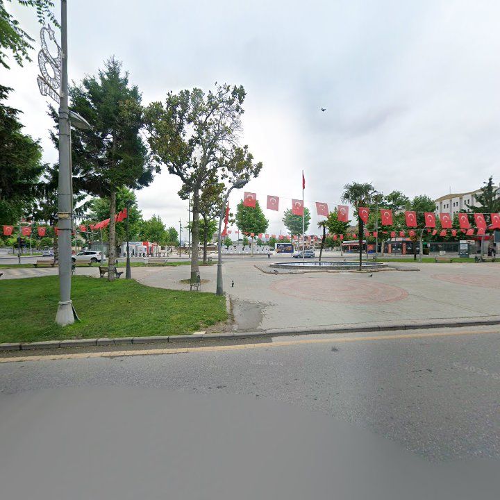 Fotoğraf 8