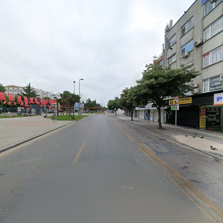 Fotoğraf 9