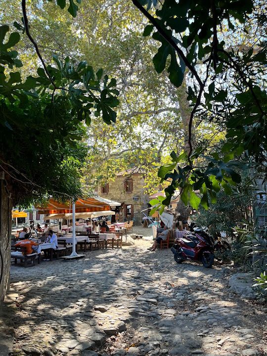 Yorum fotoğrafı 3