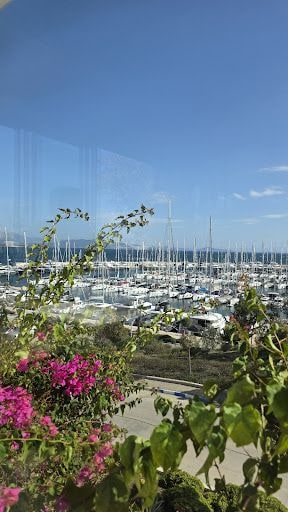 Fotoğraf 43