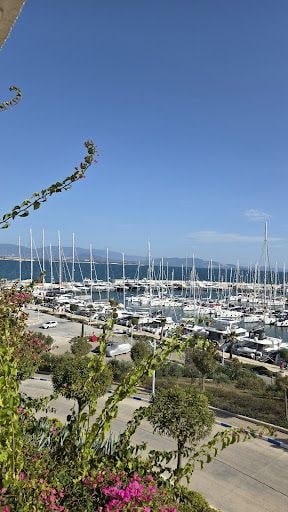 Fotoğraf 37