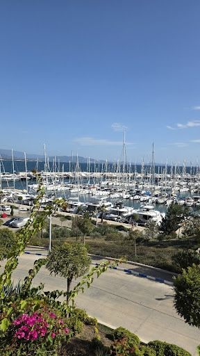 Fotoğraf 39