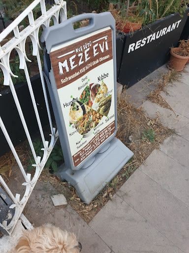 Fotoğraf 13