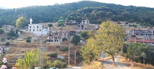 Fotoğraf 17