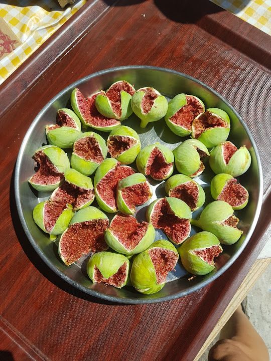Fotoğraf 32