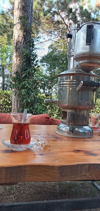 Fotoğraf 41