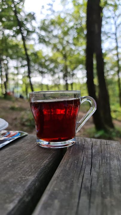 Fotoğraf 27