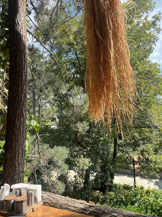 Yorum fotoğrafı 4