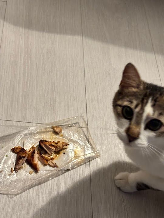 Yorum fotoğrafı 3