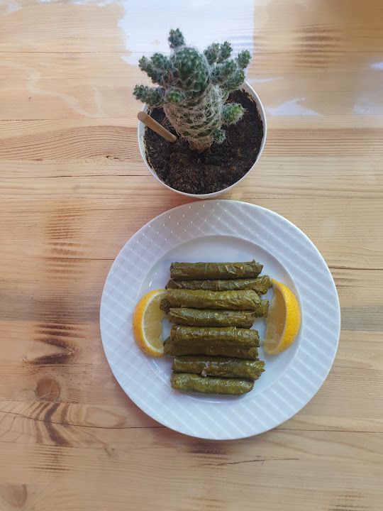 Fotoğraf 11