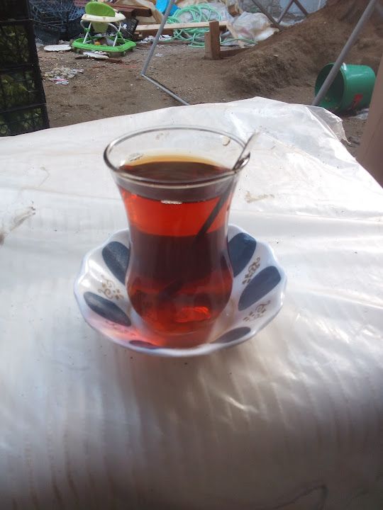 Fotoğraf 13