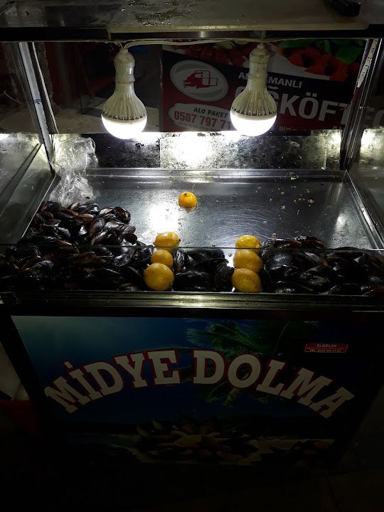 Fotoğraf 14