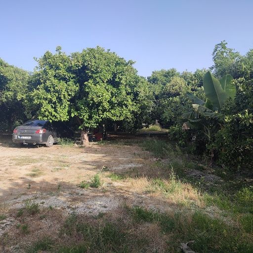 Yorum fotoğrafı 4