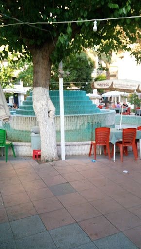 Fotoğraf 13