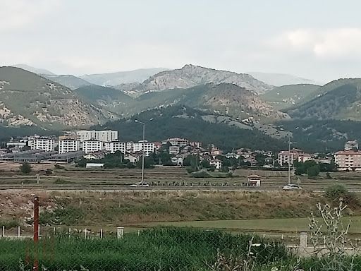 Yorum fotoğrafı 4