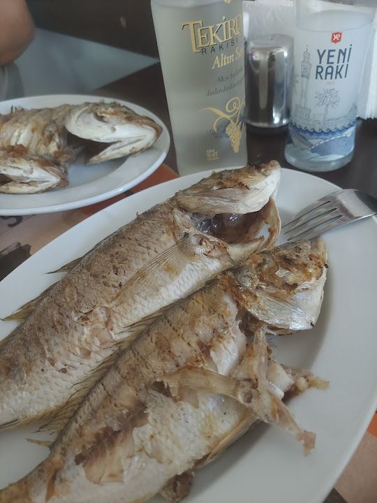 Fotoğraf 23