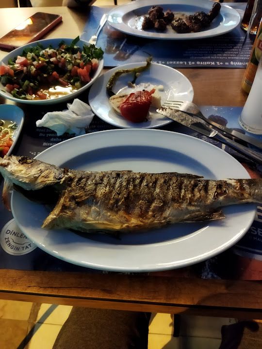 Fotoğraf 26