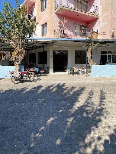 Fotoğraf 8