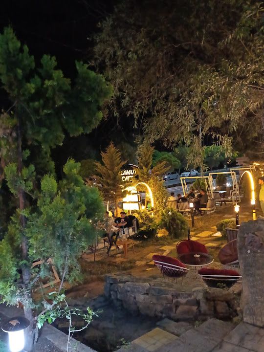 Fotoğraf 14