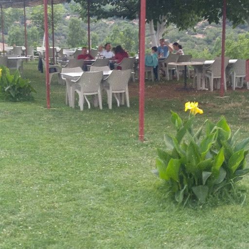 Fotoğraf 35