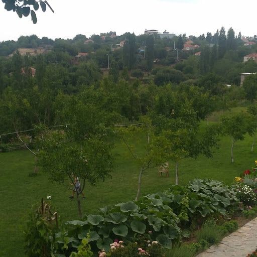 Fotoğraf 36