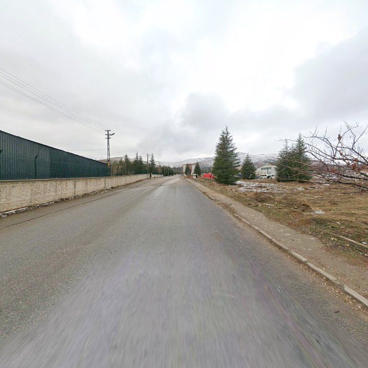 Fotoğraf 9