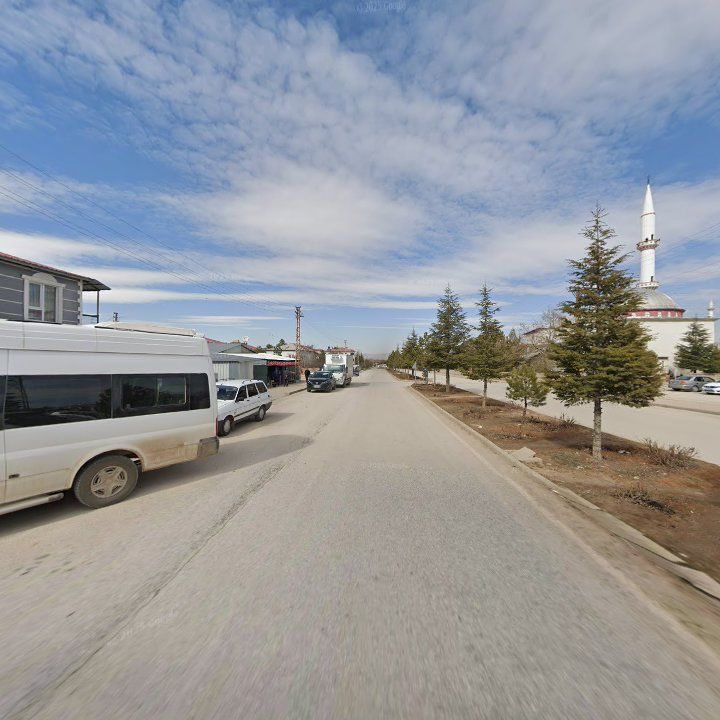 Fotoğraf 6