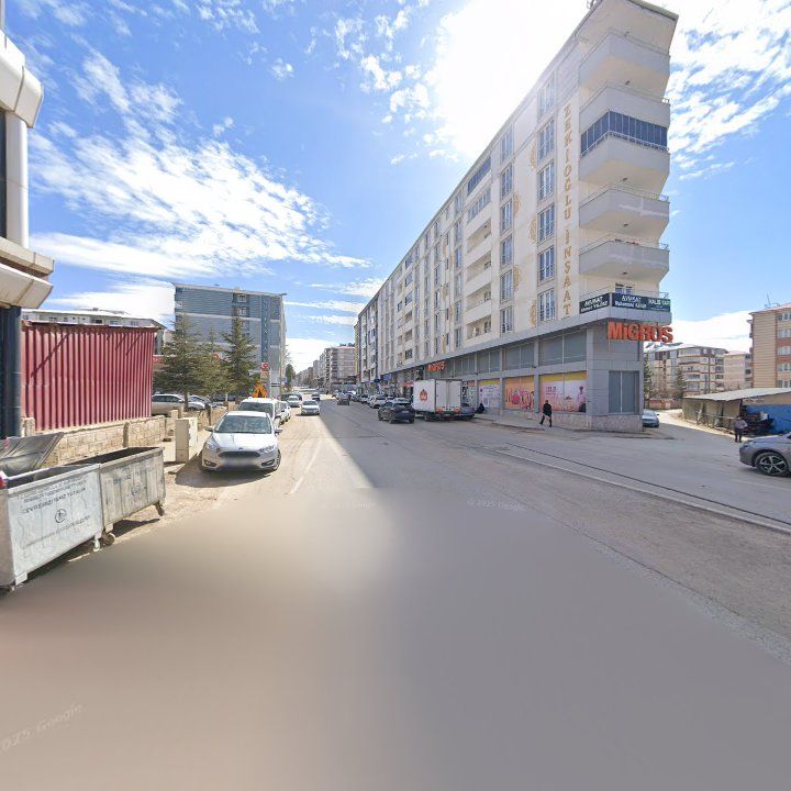 Fotoğraf 8