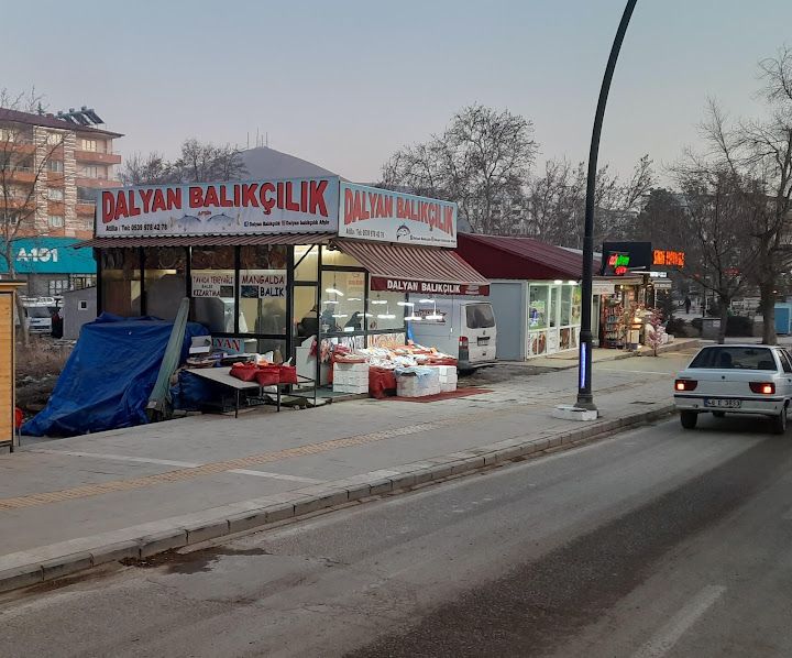 Dalyan Balıkçılık Afşin