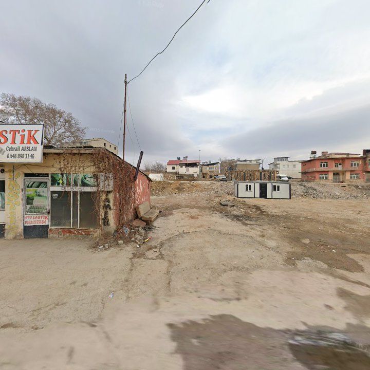 Fotoğraf 10