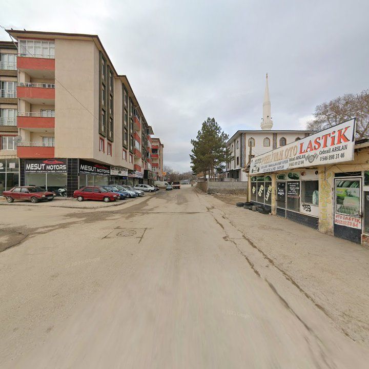 Fotoğraf 9