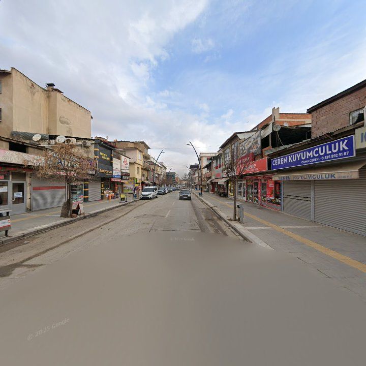 Fotoğraf 7