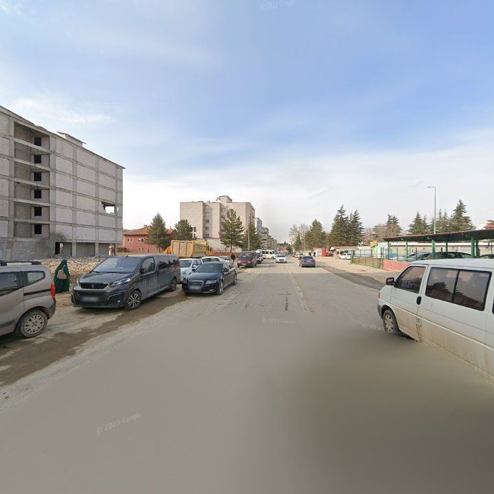 Fotoğraf 8