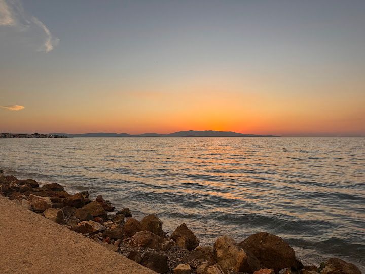 Fotoğraf 24
