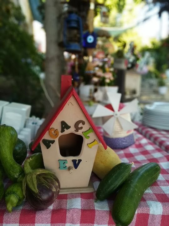 Fotoğraf 38