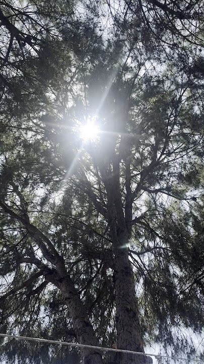 Fotoğraf 34