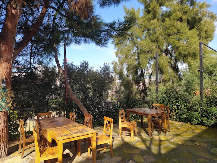 Fotoğraf 29