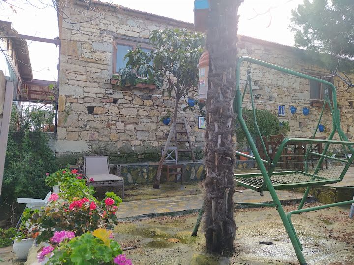 Fotoğraf 46