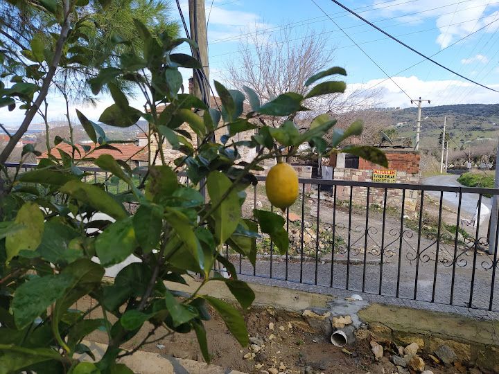 Fotoğraf 28