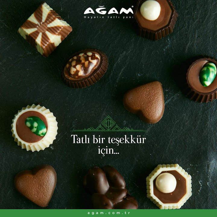 Fotoğraf 15