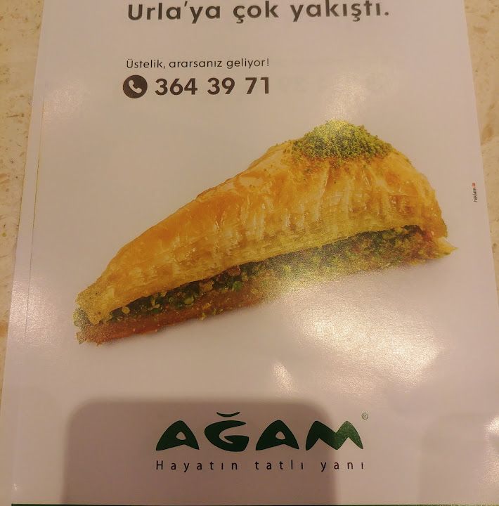 Fotoğraf 13
