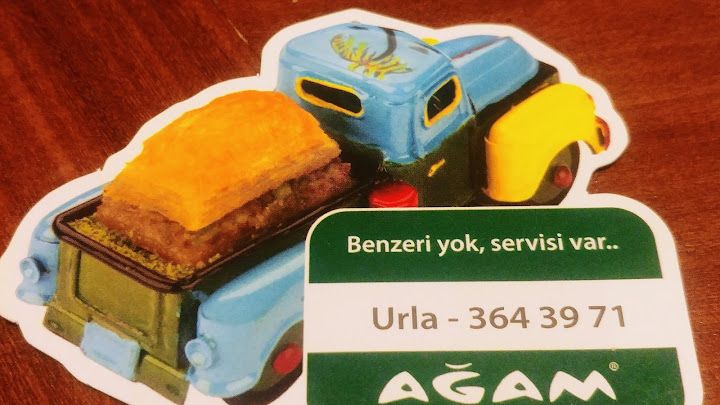 Fotoğraf 17