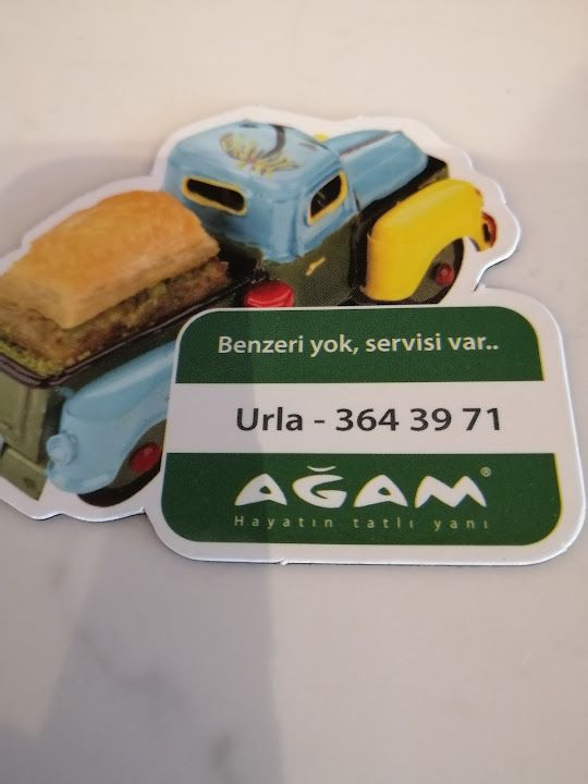 Fotoğraf 23