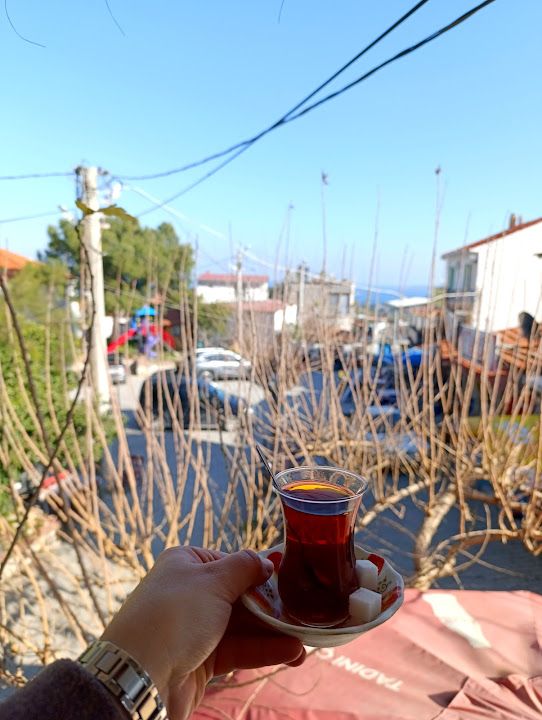 Yorum fotoğrafı 1