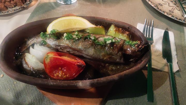 Fotoğraf 13