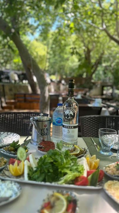 Fotoğraf 15