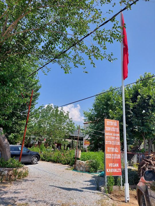 Yorum fotoğrafı 4
